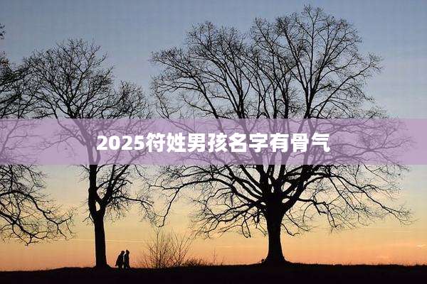 2025符姓男孩名字有骨气