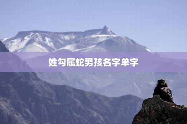 姓勾属蛇男孩名字单字