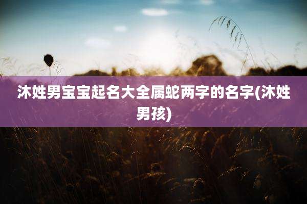 沐姓男宝宝起名大全属蛇两字的名字(沐姓男孩)