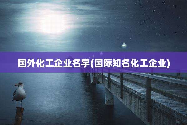 国外化工企业名字(国际知名化工企业)