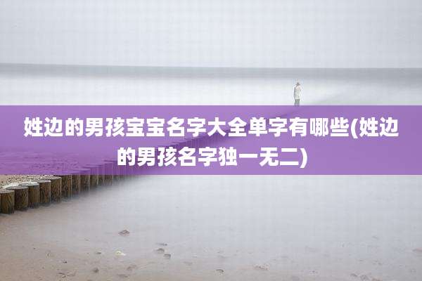 姓边的男孩宝宝名字大全单字有哪些(姓边的男孩名字独一无二)