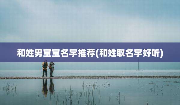 和姓男宝宝名字推荐(和姓取名字好听)