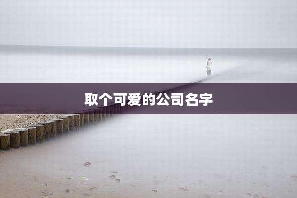 取个可爱的公司名字