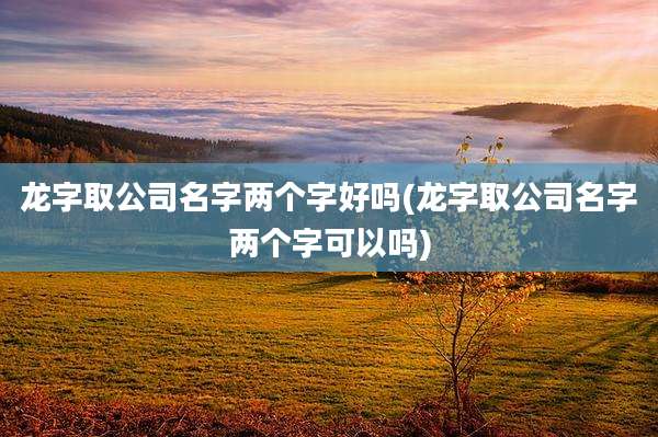 龙字取公司名字两个字好吗(龙字取公司名字两个字可以吗)