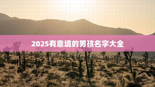 2025有意境的男孩名字大全