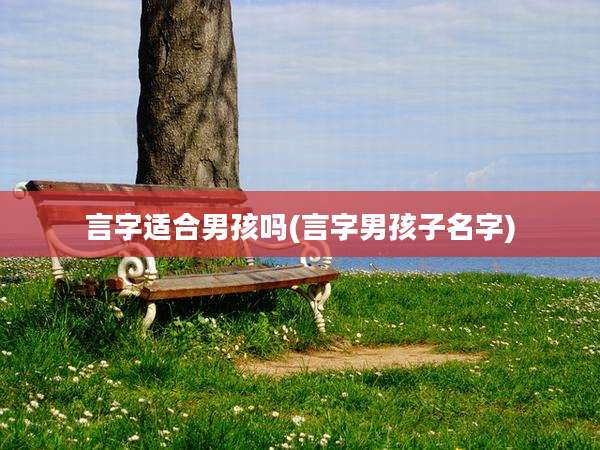 言字适合男孩吗(言字男孩子名字)