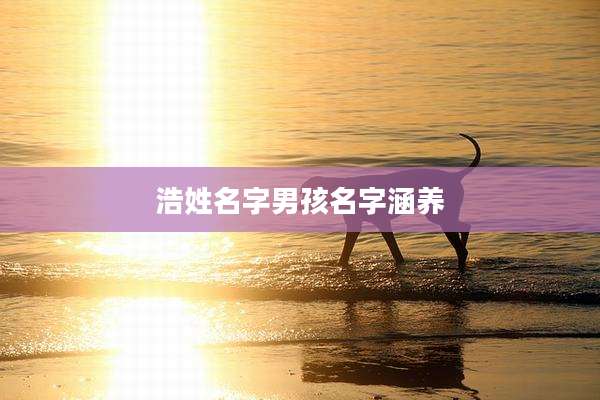 浩姓名字男孩名字涵养