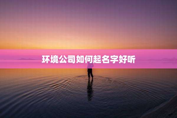 环境公司如何起名字好听