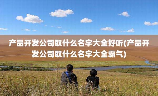 产品开发公司取什么名字大全好听(产品开发公司取什么名字大全霸气)