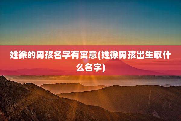 姓徐的男孩名字有寓意(姓徐男孩出生取什么名字)