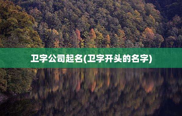 卫字公司起名(卫字开头的名字)