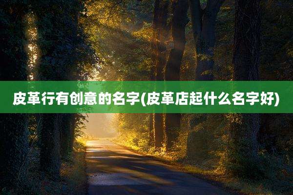 皮革行有创意的名字(皮革店起什么名字好)