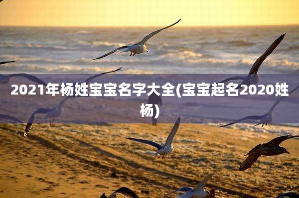 2021年杨姓宝宝名字大全(宝宝起名2020姓杨)