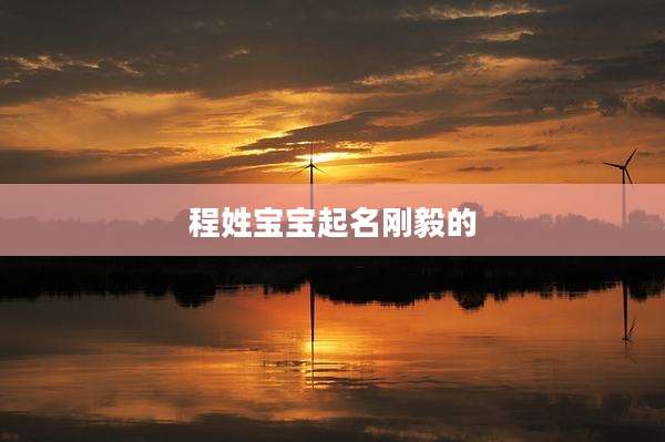 程姓宝宝起名刚毅的