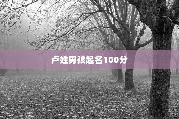 卢姓男孩起名100分