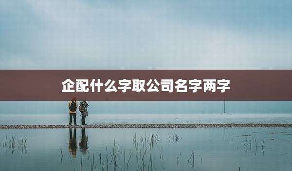 企配什么字取公司名字两字