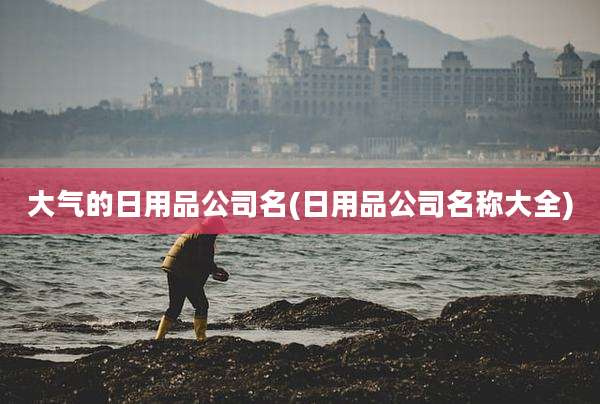 大气的日用品公司名(日用品公司名称大全)