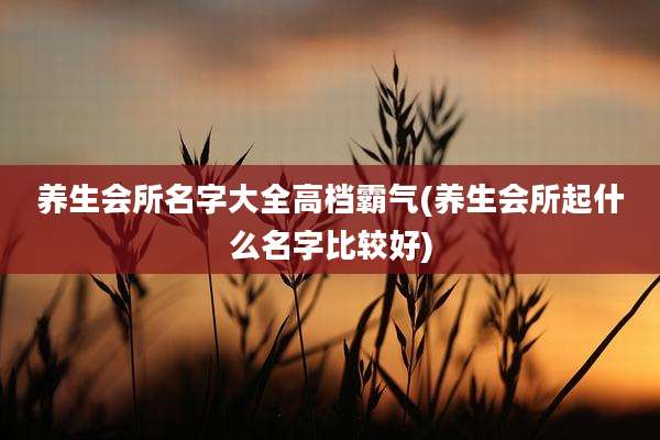 养生会所名字大全高档霸气(养生会所起什么名字比较好)