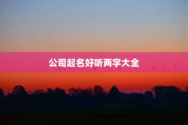 公司起名好听两字大全