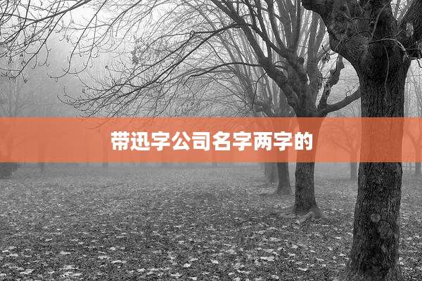 带迅字公司名字两字的