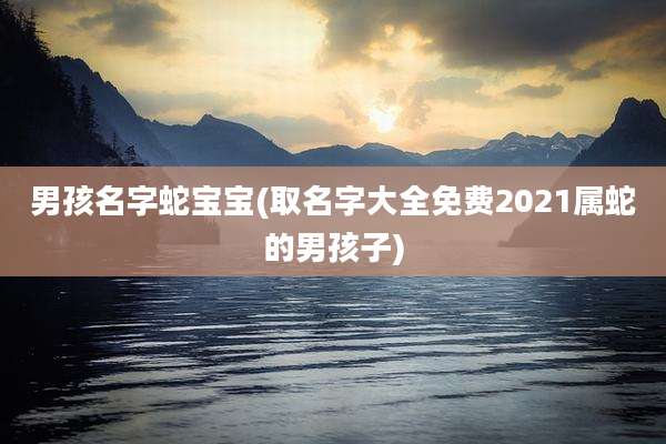 男孩名字蛇宝宝(取名字大全免费2021属蛇的男孩子)