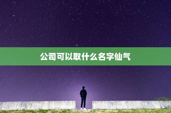 公司可以取什么名字仙气
