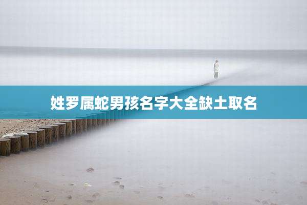 姓罗属蛇男孩名字大全缺土取名