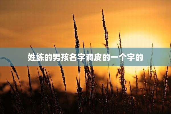 姓练的男孩名字调皮的一个字的