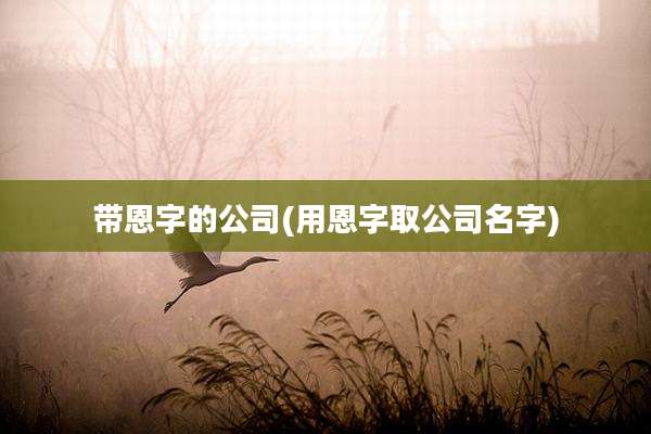 带恩字的公司(用恩字取公司名字)
