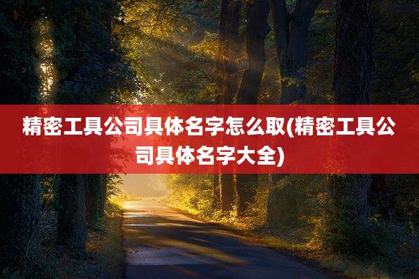精密工具公司具体名字怎么取(精密工具公司具体名字大全)