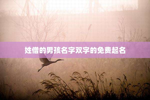姓僧的男孩名字双字的免费起名