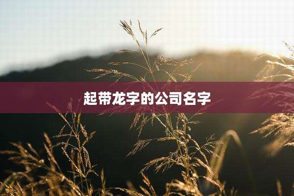 起带龙字的公司名字