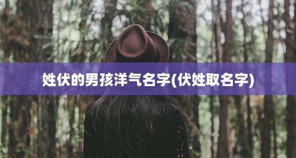 姓伏的男孩洋气名字(伏姓取名字)