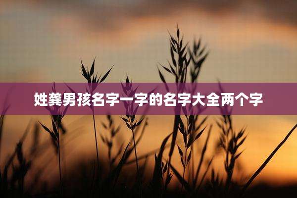 姓龚男孩名字一字的名字大全两个字