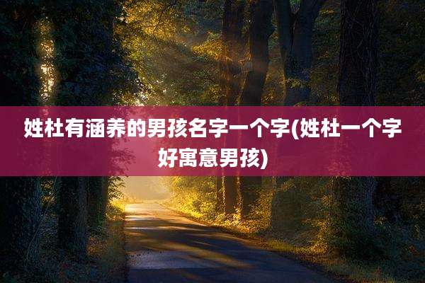 姓杜有涵养的男孩名字一个字(姓杜一个字好寓意男孩)
