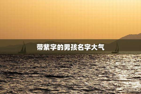 带紫字的男孩名字大气
