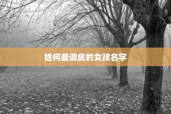 姓何最调皮的女孩名字