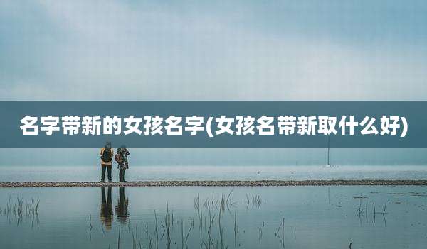 名字带新的女孩名字(女孩名带新取什么好)
