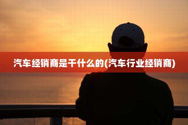 汽车经销商是干什么的(汽车行业经销商)