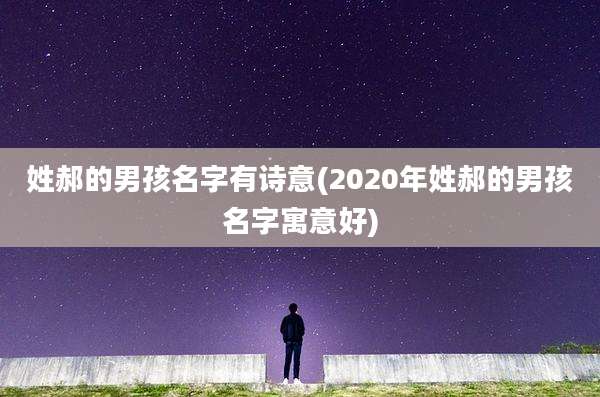 姓郝的男孩名字有诗意(2020年姓郝的男孩名字寓意好)