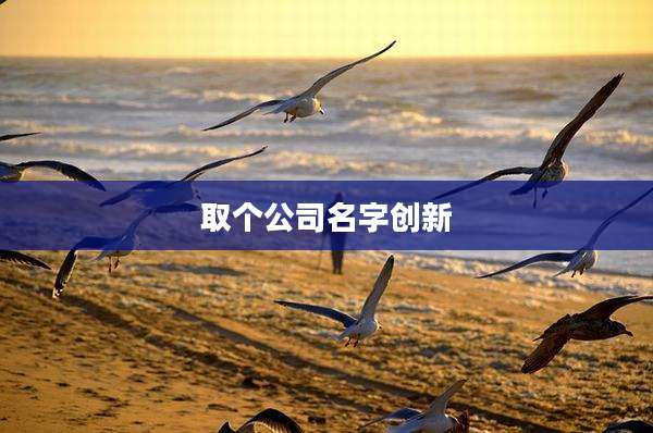 取个公司名字创新