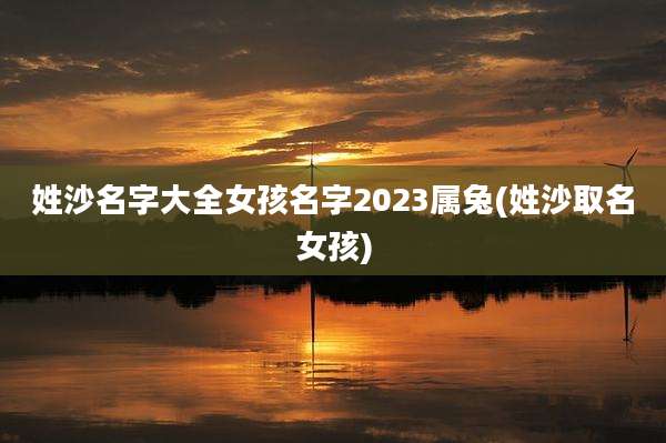 姓沙名字大全女孩名字2023属兔(姓沙取名女孩)