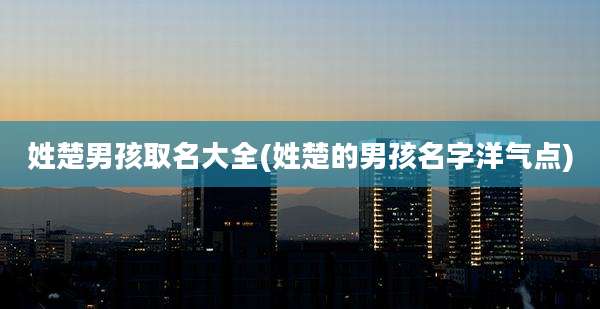 姓楚男孩取名大全(姓楚的男孩名字洋气点)