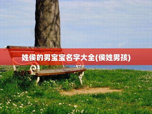 姓侯的男宝宝名字大全(侯姓男孩)