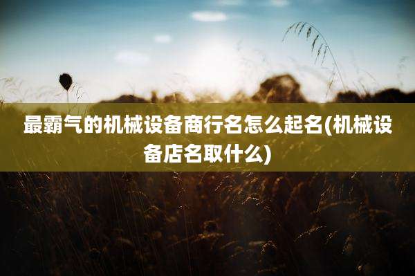 最霸气的机械设备商行名怎么起名(机械设备店名取什么)
