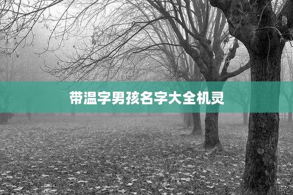 带温字男孩名字大全机灵