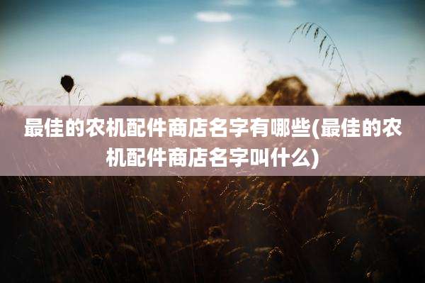 最佳的农机配件商店名字有哪些(最佳的农机配件商店名字叫什么)