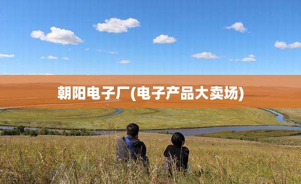 朝阳电子厂(电子产品大卖场)