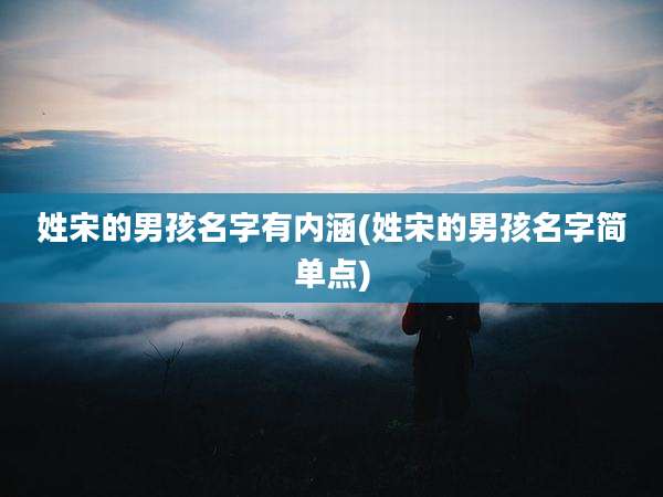 姓宋的男孩名字有内涵(姓宋的男孩名字简单点)