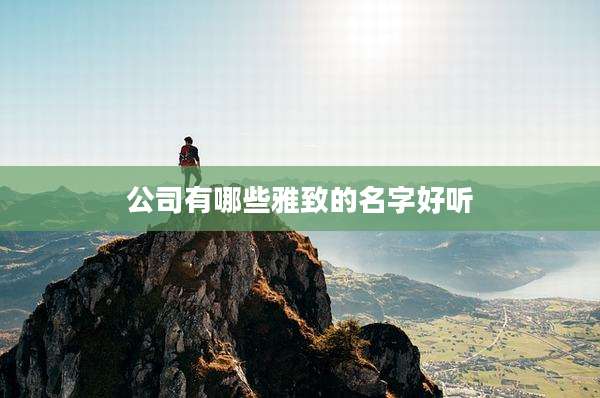 公司有哪些雅致的名字好听